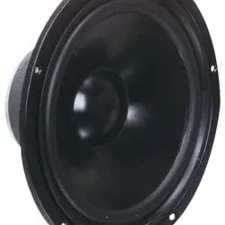 Visaton Altavoz Woofer De 25 Cm, 4 Ohm Con Bobina Móvil De 38 Mm, Hasta 150 W De Potencia Máxima