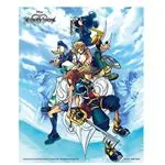 Cuadro 3D Kingdom Hearts Bound By Destiny