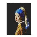 Puzzle 3D Jekca Girl with a Pearl Earring Brick Painting 01S