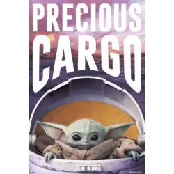 Erik Maxi Póster Star Wars The Mandalorian Precious Cargo 91.5x61cm