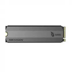 Hikvision HS-SSD-E2000-256G 256GB M.2 PCIe Gen 3 x 4 Especial Video Vigilancia