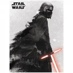Pyramid Lienzo Star Wars Episodio 9 30x40cm