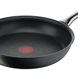 Sartén Tefal Excellence 26cm