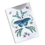 Cuaderno Cuquiland Marialu Mariposas