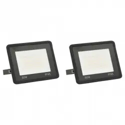 vidaXL Focos LED 50 W 2 unidades blanco frío
