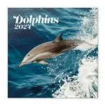 Calendario de pared 2024 Erik 30x30cm Dolphins