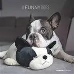 Calendario de pared 2024 mes visto 30x30 Funny Dogs