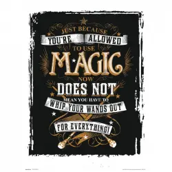 Erik Lámina Harry Potter Magic 40x30cm