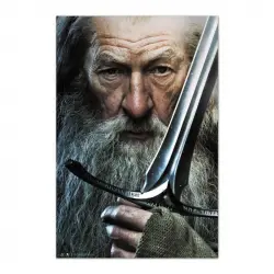 Erik Editores The Hobbit Gandalf Poster 91.5x61 Cm