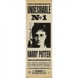 Erik Póster de Puerta Harry Potter Indeseable Nro. 1 158x53cm