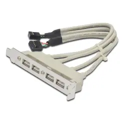Bracket Conexión USB (2x10Pin a 4xAH) a Placa Base
