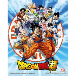 Póster 3D - Sherwood Dragon Ball Super: Goku & Z Fighters, 23.5 x 28.5 cm, Efecto