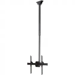 StarTech Soporte de Techo para TV 32"-75" VESA 600x400 Máx 50Kg