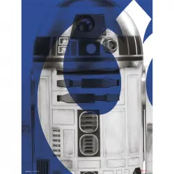 Erik Lámina Star Wars Episodio IX R2-D2 40x30cm