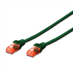 Ewent Cable de Red RJ45 Cat 6 U/UTP 50cm Verde
