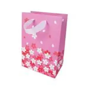 Bolsa de regalo Hallmark 940 Mix RO mediana Florecillas