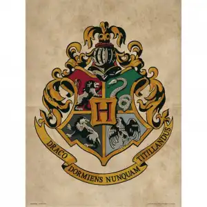 Erik Lámina Harry Potter Blason Hogwarts 40x30cm