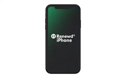 Apple iPhone Xr 64GB Negro Renewd (Reacondicionado A++)