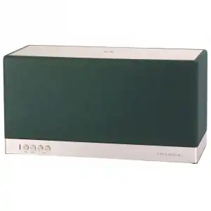 Triangle AIO 3 Altavoz Inalámbrico WiFi Verde Bosque