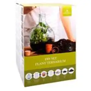 Terrario DIY
