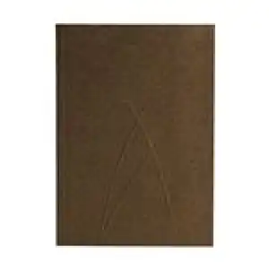 Libreta Paperblanks A5 Bronce Rayada