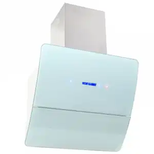 VidaXL Campana Decorativa 60cm D Acero Inoxidable/Blanco