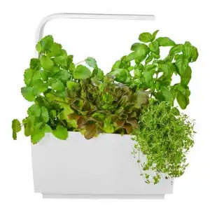 Tregren T6 Huerto de Cocina Inteligente Blanco