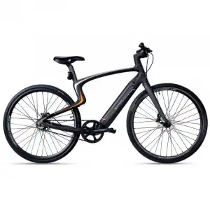Urtopia Carbon One Bicicleta Eléctrica 250W M Sirius