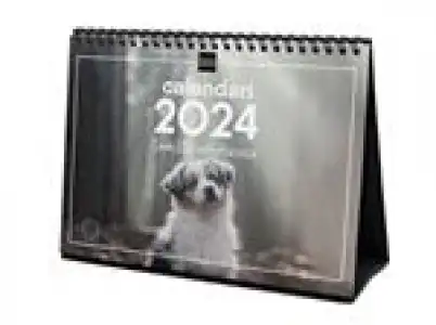 Calendario de mesa 2024 Finocam S-21x15 Cachorros con espacio para anotaciones catalán
