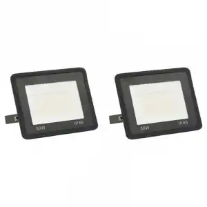 vidaXL Focos LED 50 W 2 unidades blanco frío