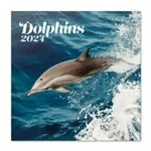 Calendario de pared 2024 Erik 30x30cm Dolphins