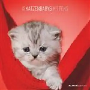 Calendario de pared 2024 mes visto 30x30 Kittens