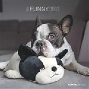 Calendario de pared 2024 mes visto 30x30 Funny Dogs