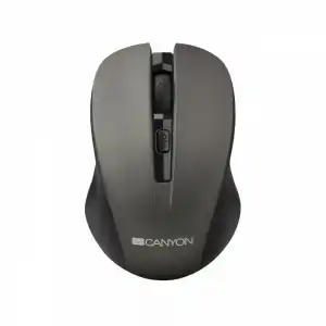 Canyon CNE-CMSW1G Ratón Inalámbrico 1200 DPI Gris