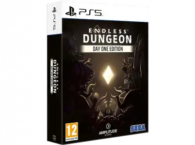PS5 Endless Dungeon