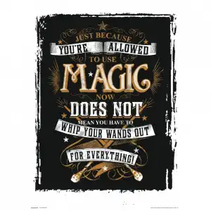 Erik Lámina Harry Potter Magic 40x30cm