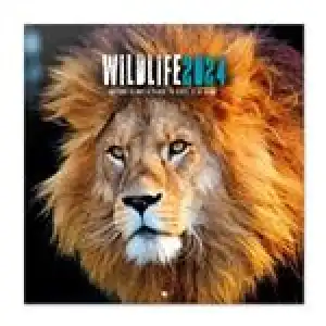 Calendario de pared 2024 Erik 30x30cm Wildlife