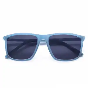Gafas De Sol De Hombre Lois Perseo Azul Mate
