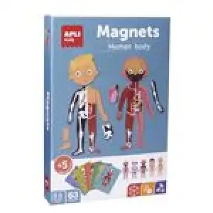 Juego magnético Apli el cuerpo humano
