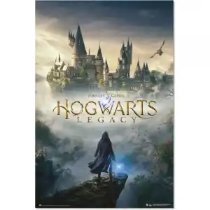 Erik Póster Harry Potter Hogwarts Legacy 91.5x61cm